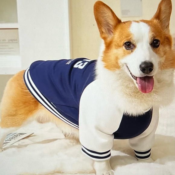 NWT adorable pet varsity look sweatshirt, size small - Picture 3 of 7